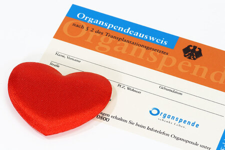 Kärtchen mit Organspendeausweis und einem großen roten Herz 
